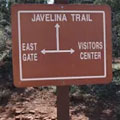 Javalina Trail