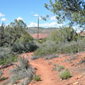 Yavapai Ridge Trail