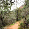 Clifftop Nature Trail