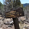 Bill Williams Mountain Trail